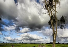 im电游-法甲客场大胜暗藏“三码玄机”？破译足球世界的抖路罚U示