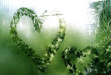 im电竞下载-防守扎实攻击犀利，球队晋级亚冠四强之路