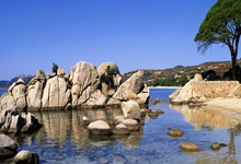 im电竞官网-西悉尼流浪者球迷现场助威，球队斗志昂扬