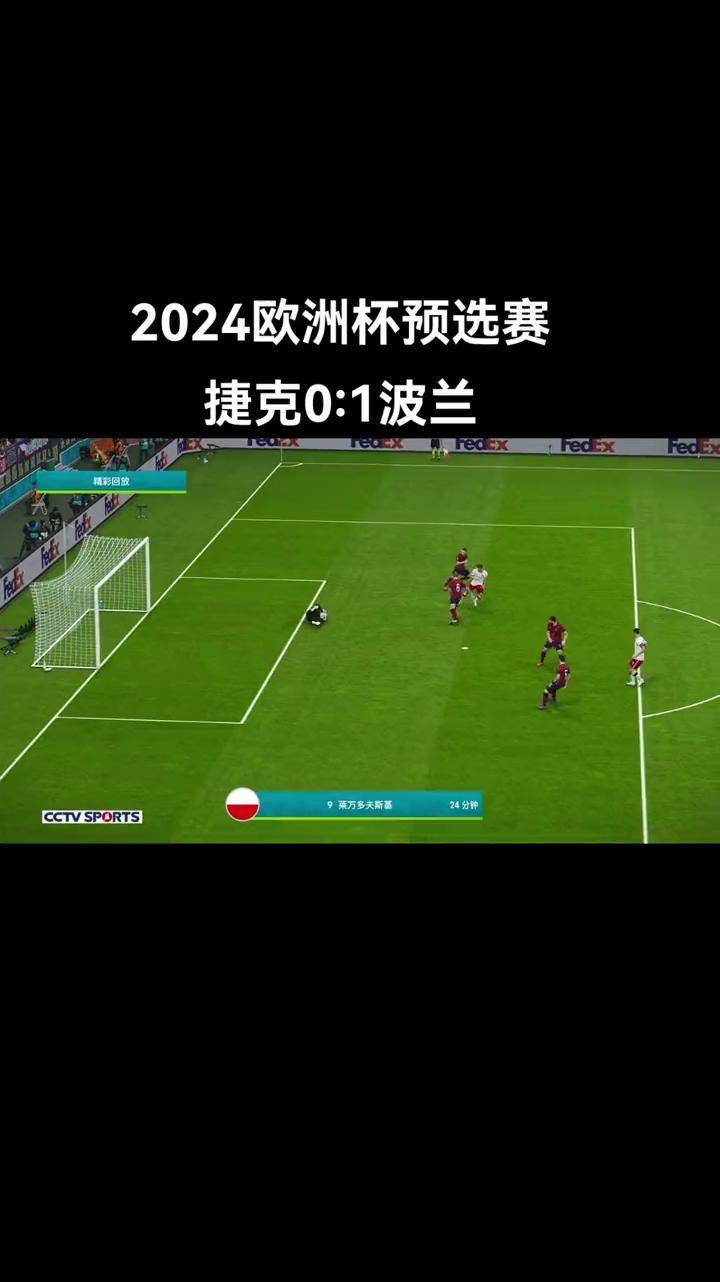 包含捷克队取得胜利，成功晋级欧锦赛预选赛的词条