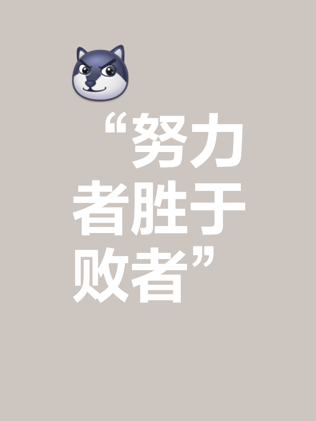 im电竞下载-巴斯顿砥砺前行，顽强奋斗不止绝处逢生的简单介绍