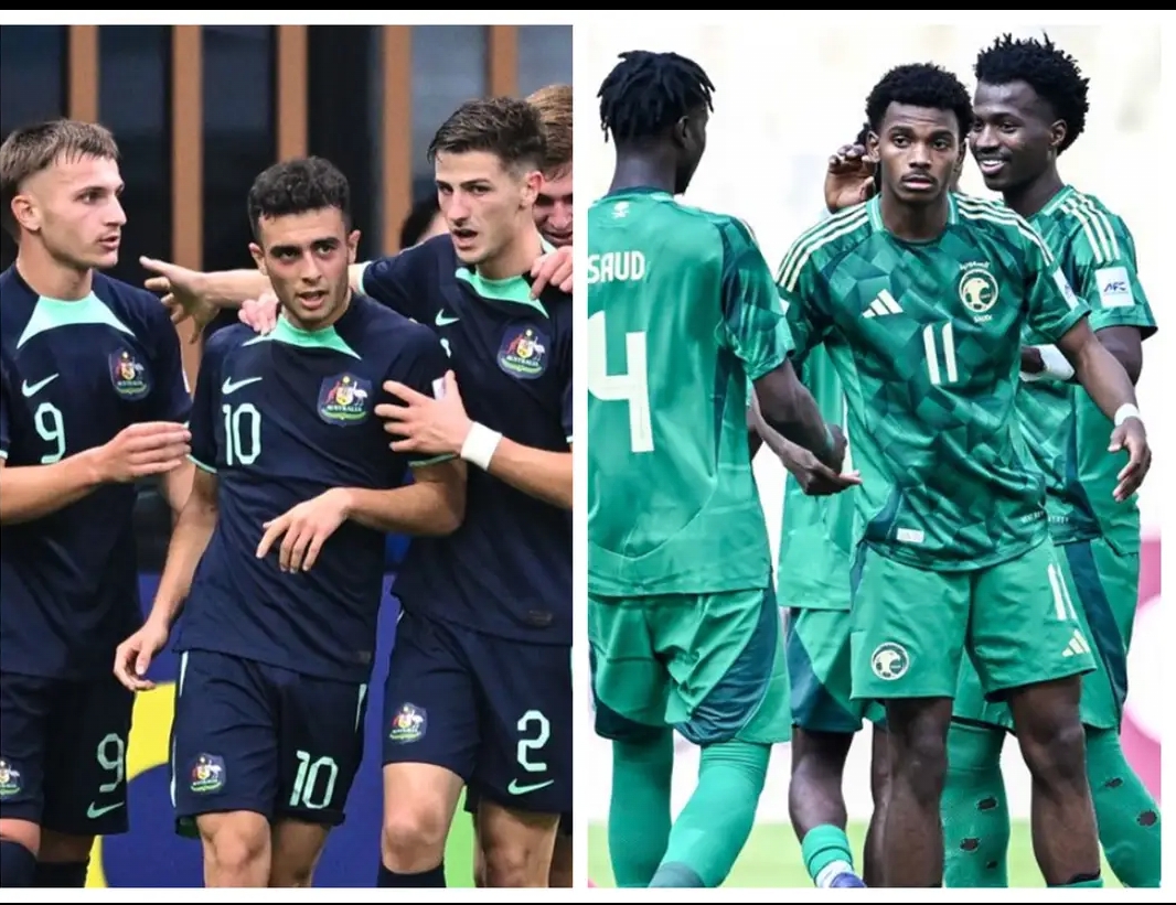 im电游-澳大利亚队在欧锦赛比赛中成功晋级半决赛！