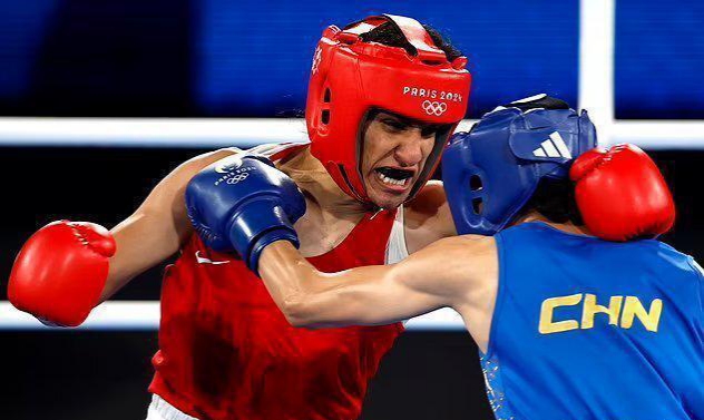 拳击比赛选手击倒对手，取得冠军