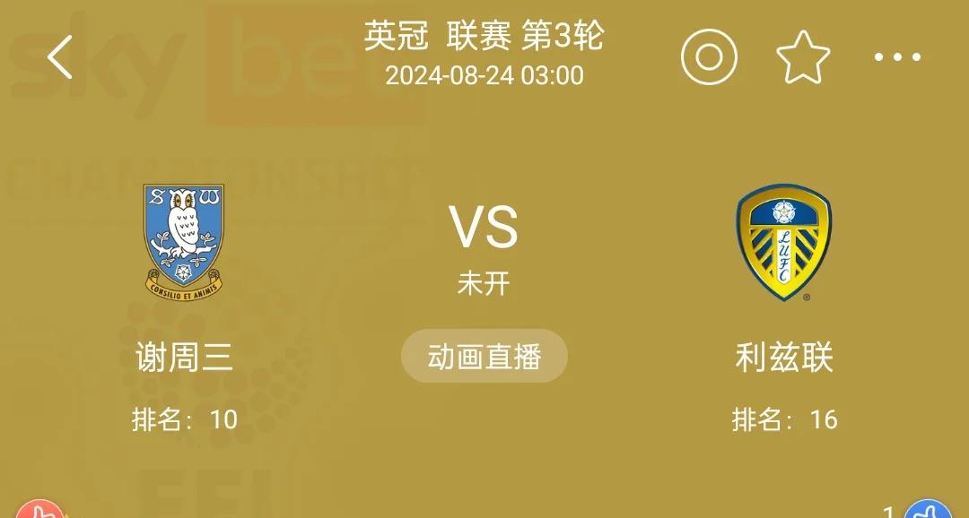 im电竞-利兹联主场胜利，继续保持中游位置